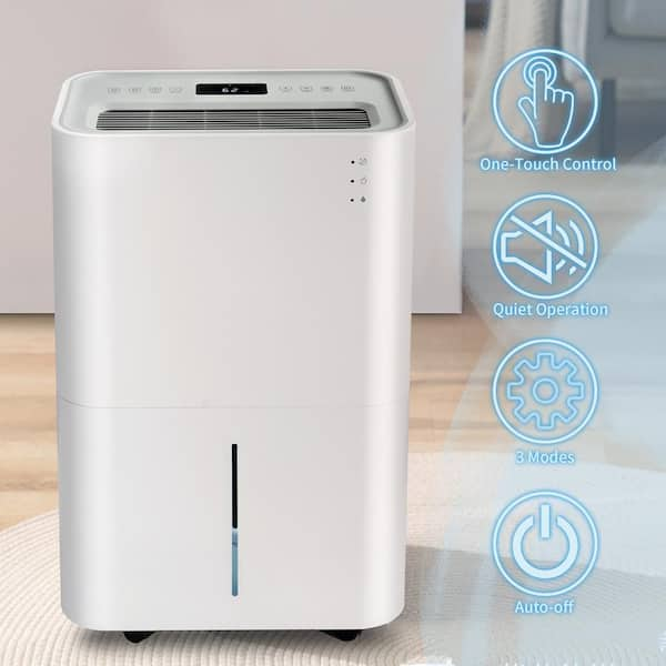 Black + Decker Dehumidifier & Purifier  Cleaner living, Purifier, Mold and  mildew