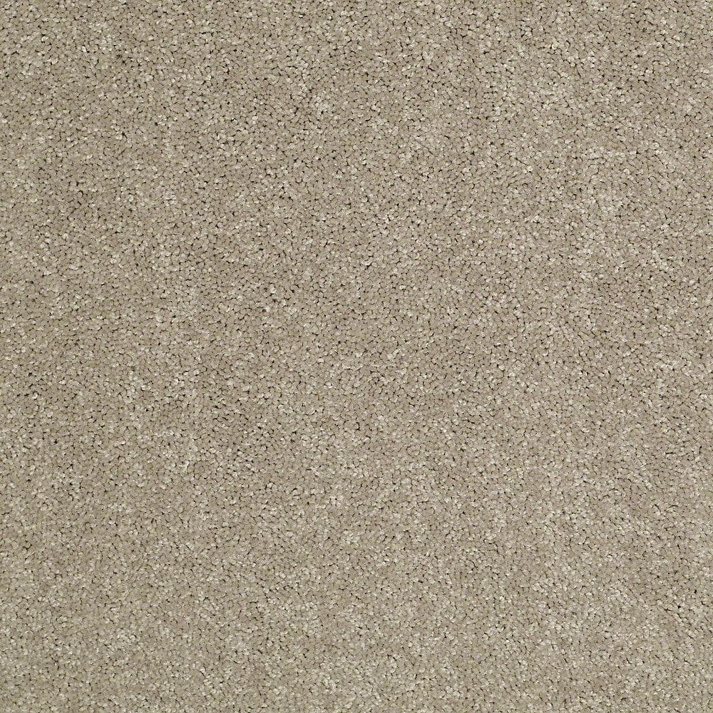 8 in. x 8 in. Texture Carpet Sample - Watercolors II - Color Log Cabin price history on PriceWatchPro