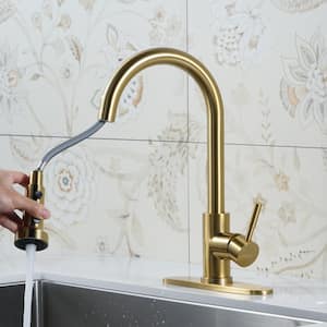 Henassor Single Handle Pull-Down Sprayer Kitchen Faucet with Deck Plate in Gold