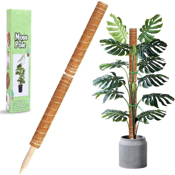 17 in. Plant Stake Moss Sticks for Monstera Indoor Creeper Support  Extension Climbing Plants (2-Pack) B08CK3QMVT - The Home Depot