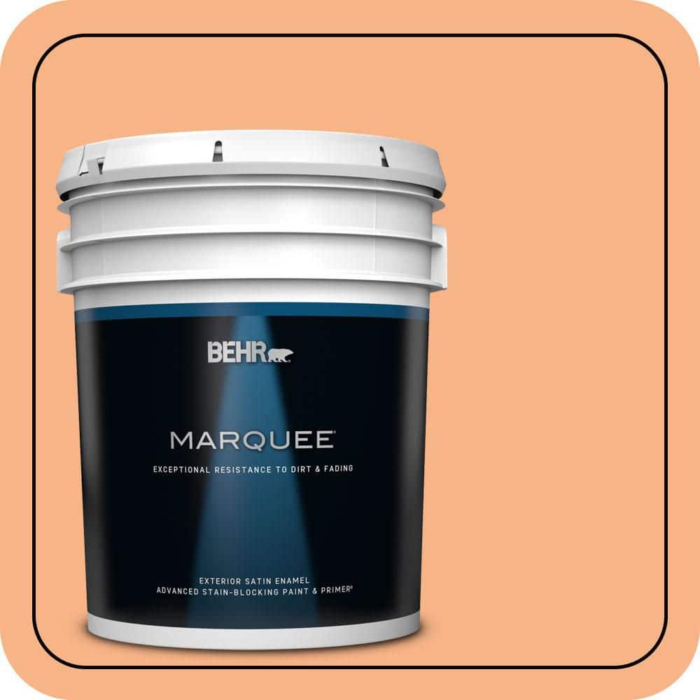 5 gal. #250D-4 Autumn Mist Satin Enamel Exterior Paint & Primer price history on PriceWatchPro
