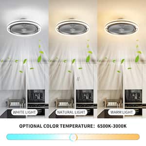 19.6 in. LED Modern Indoor Black Enclosed Low Profile Flush Mount Ceiling Fan with Light with Remote and APP Control