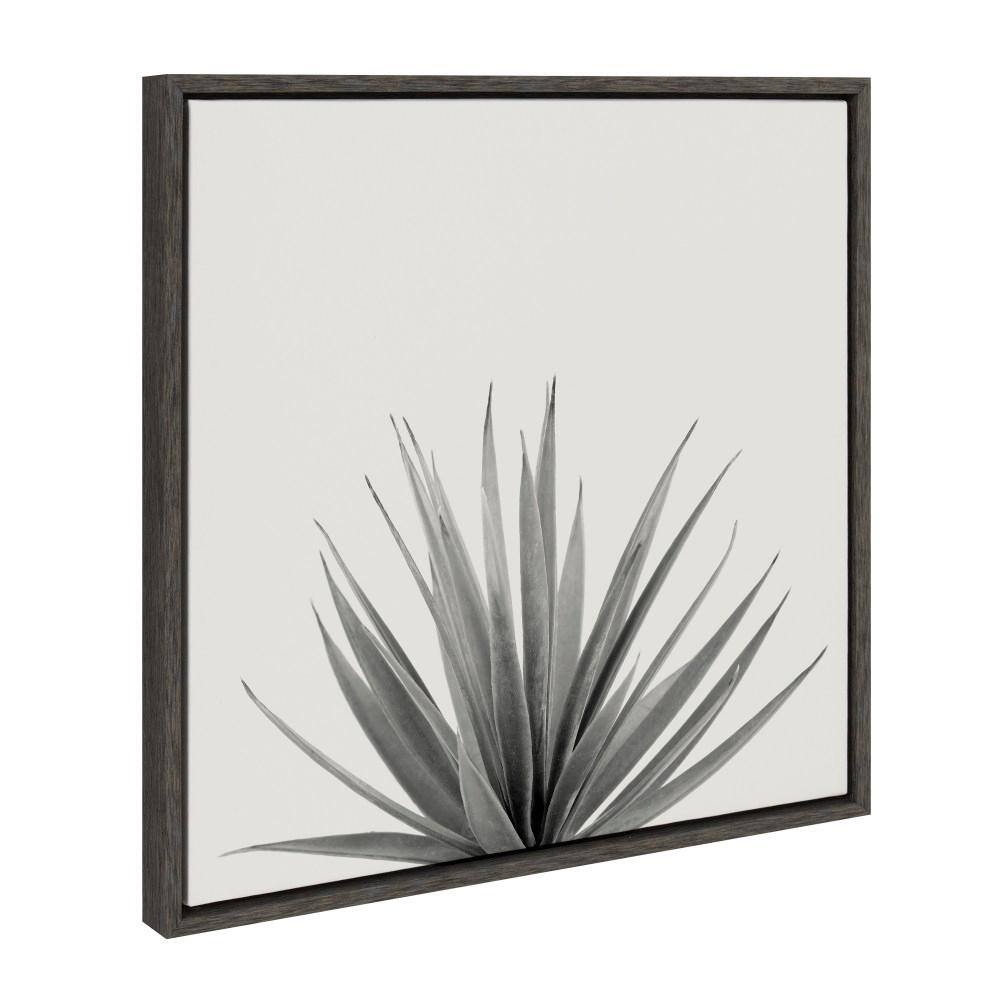Haze Agave Succulent Gray Canvas Wall Art with Black Frame, 22x22
