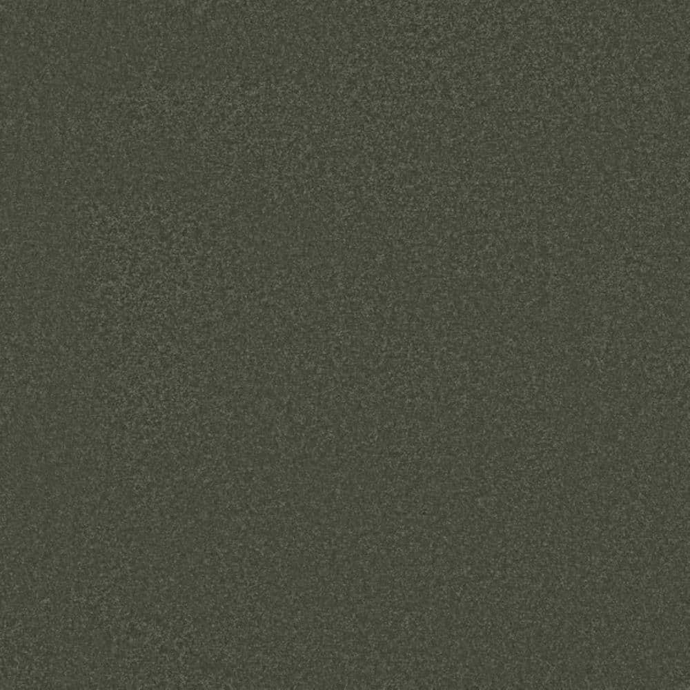 8 in. x 8 in. Texture Carpet Sample-Park Royal II-Color Bonsai price history on PriceWatchPro