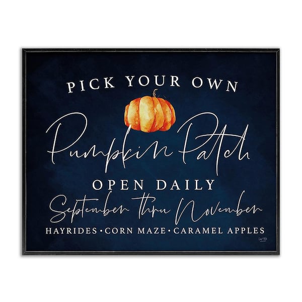 Stupell Industries Pick Your Own Pumpkins by Lux + Me Designs 1 Piece Framed Graphic Print Typography Poster Art Print 20 in. x 16 in.