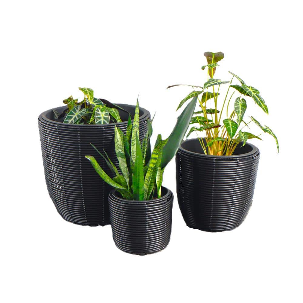 Eden Grace Black Wicker Planter Set with Liner Pots, 3 Round Resin Planters