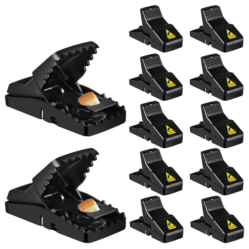 Home Depot Mouse Trapnull