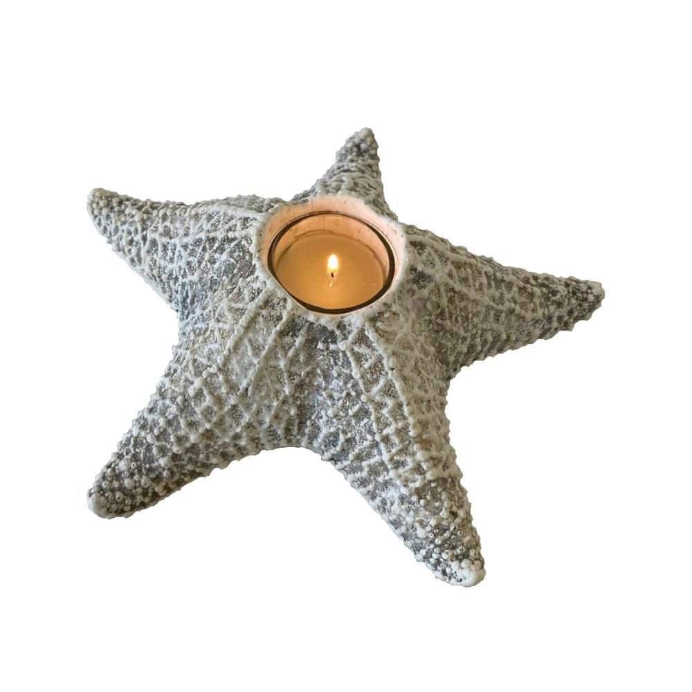 Fossil White Gypsum 10.5 in. Dia x 3.25 in. H Starfish Votive Candleholder 