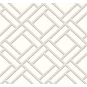 Luxe Retreat Metallic Silver and Eggshell Block Trellis Paper Unpasted Wallpaper Roll (60.75 sq. ft.)