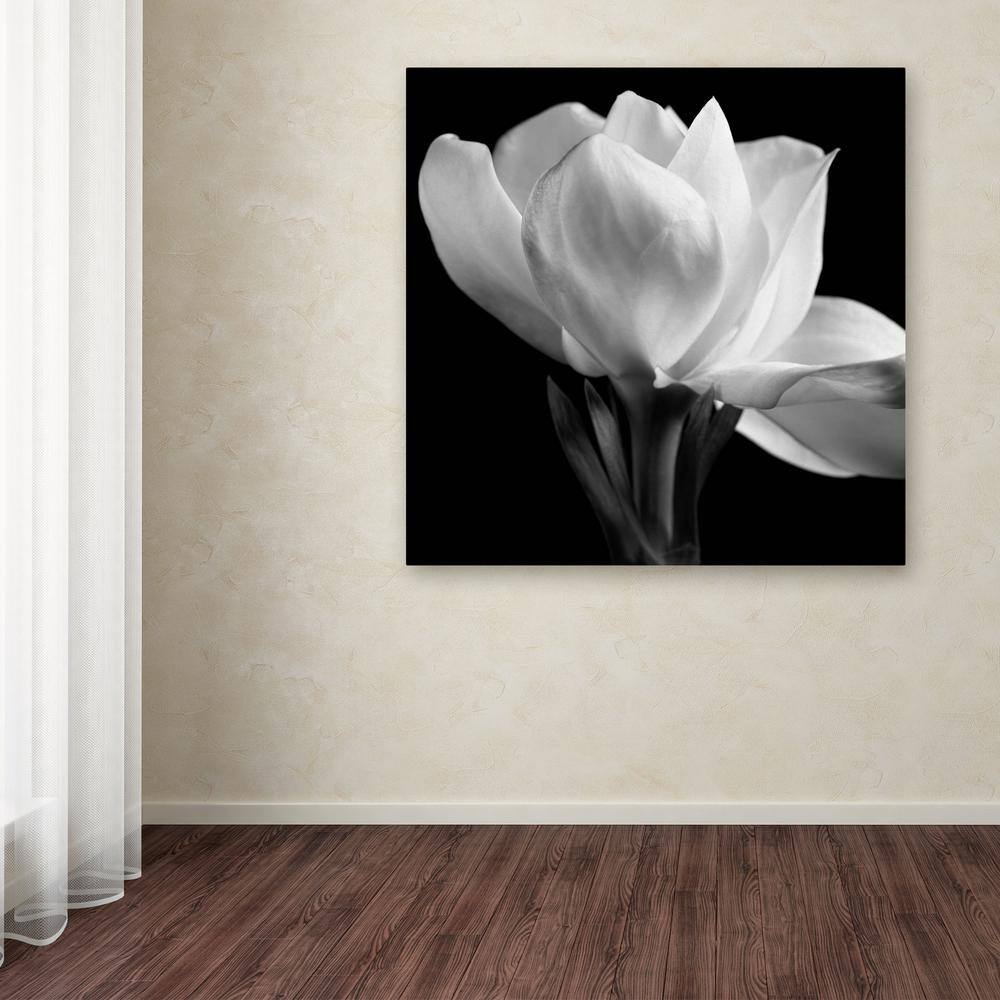 Michael Harrison Black and White Floral Canvas Art, 35'' x 35''