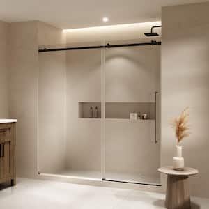 Selby 72.01 in. W x 74.02 in. H Sliding Frameless Shower Door with Clear Glass in Black