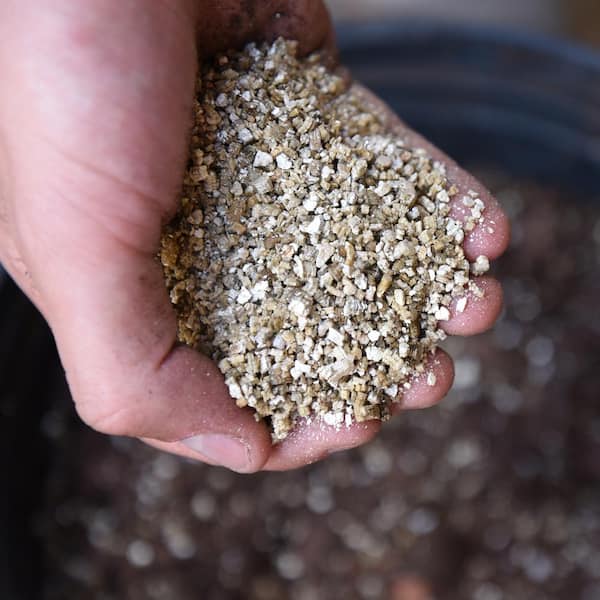 Chunky Vermiculite Soil Supplement (4 Quarts), Potting Mix