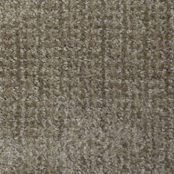 Lifeproof Carpet Sample - Fashion Feature - Color Glenside Pattern 8 in. x 8 in.