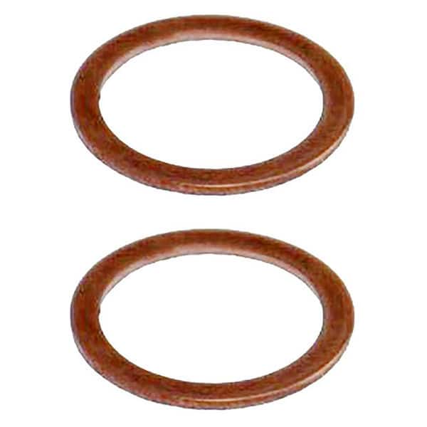 Raybestos Disc Brake Caliper Bushing