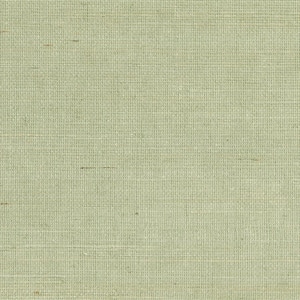 Popun Light Green Grasscloth Peelable Wallpaper (Covers 72 sq. ft.)