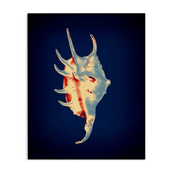 Stupell Industries Spider Conch on Blue by Graffi tee Studios Unframed Coastal Graphic Art Print 48 in. x 36 in.