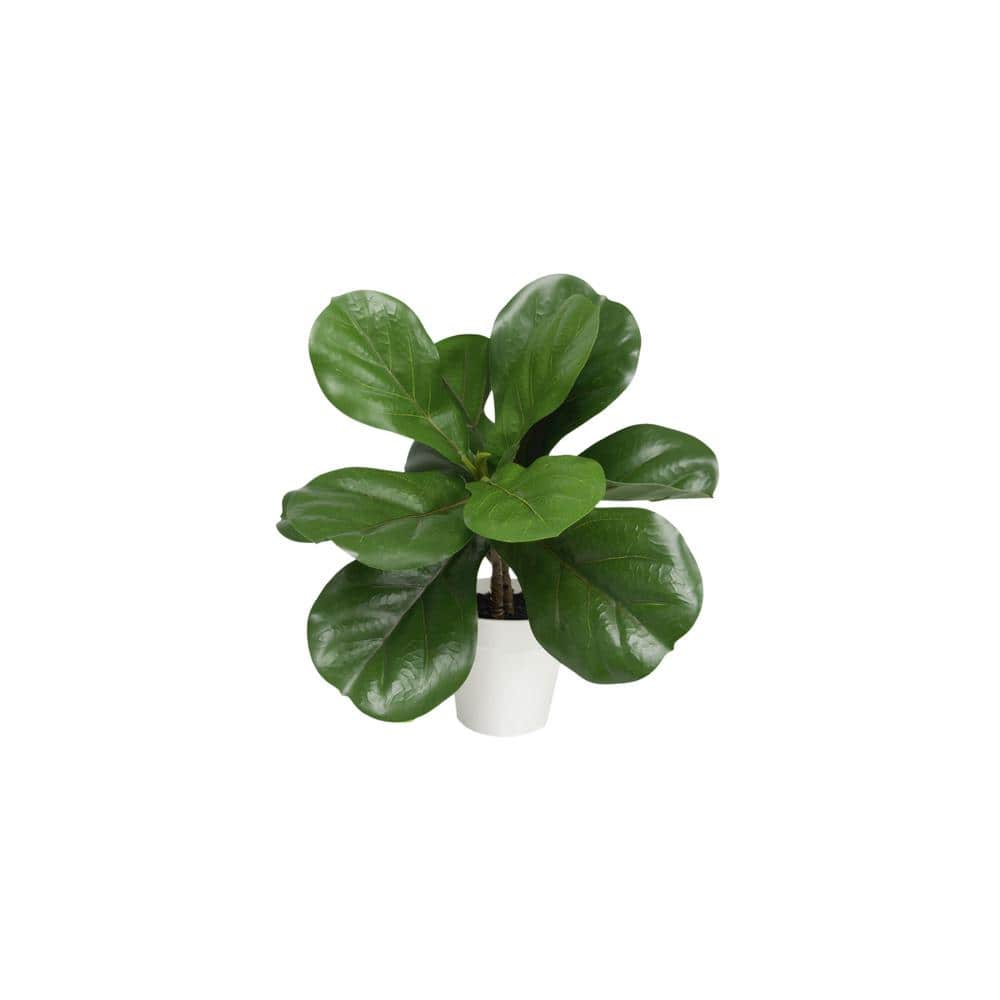 15 in. Artificial Potted Ficus (5 in. x 4.25 in. H pot; 5 in. x 15 in. H) price history on PriceWatchPro