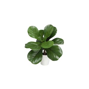 15   in.  Artificial Potted Ficus (5  in. x 4.25  in. H pot; 5  in.  x 15   in. H)