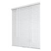 https://images.thdstatic.com/productImages/3d170ef1-8d2a-41ed-8bb7-44b10b29a9f4/svn/white-hampton-bay-vinyl-mini-blinds-10793478351220-e1_100.jpg