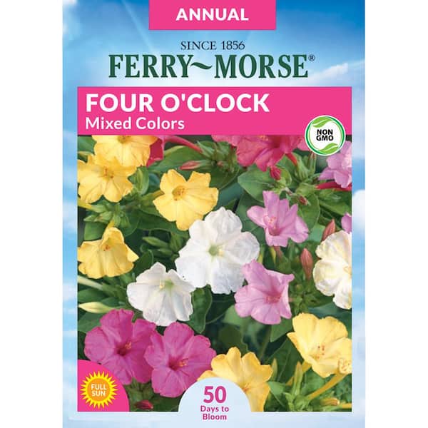 Ferry-Morse 4 O'Clock Mixed Colors Seed