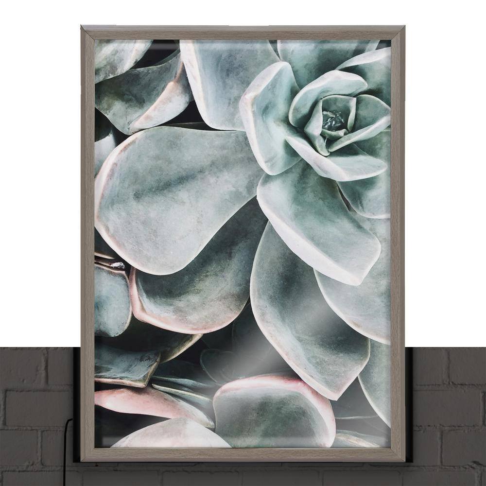 Gray Framed Botanical Succulent Plant Wall Art Set