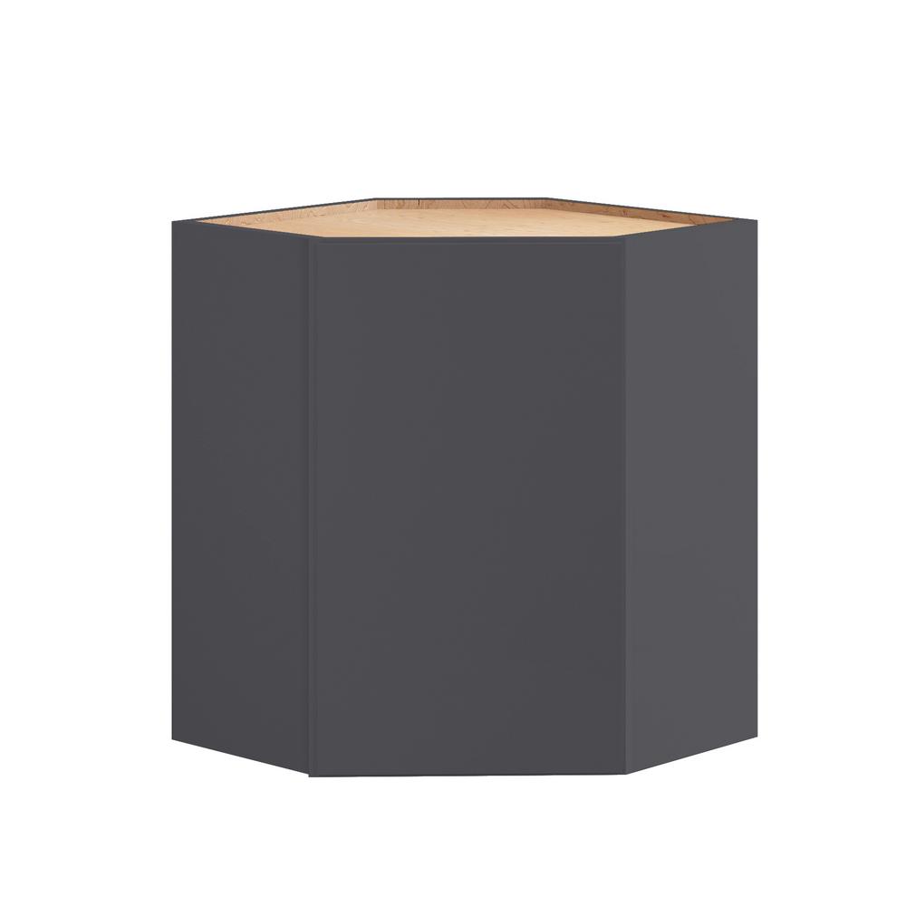 Hargrove 24 in. W x 12 in. D x 36 in. H Assembled Plywood Wall Corner Kitchen Cabinet in Valiant Onyx with Soft Close