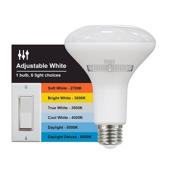 150-Watt Equivalent BR30 Dimmable LED Flood Light Bulb With Selectable Color Temperature (2-Pack)