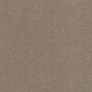 Urban Artifact I - Sandstorm - Brown 46.8 oz. Nylon Texture Installed Carpet