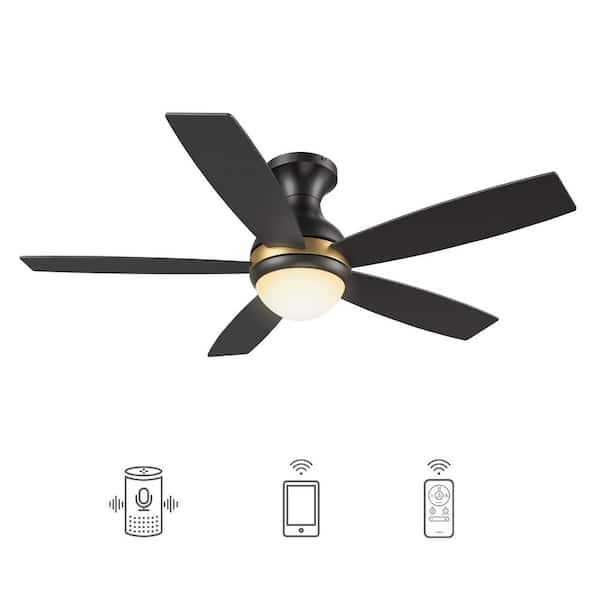 Fannin II 52 in. Dimmable LED Indoor/Outdoor Black Smart Ceiling Fan with Light and Remote, Works with Alexa/Google Home