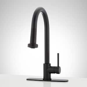 Ridgeway Single Handle Pull Down Sprayer Kitchen Faucet with Escutcheon in Matte Black