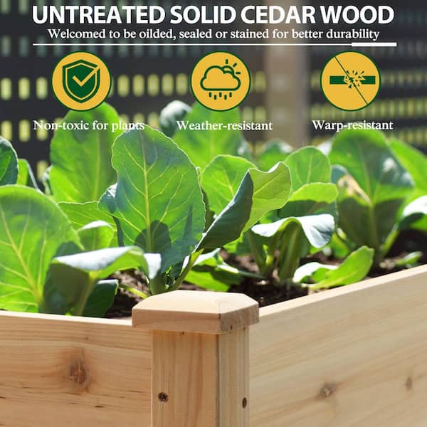 48 in. x 24 in. x 30 in. Cedar Wood Raised Garden Bed with Liner