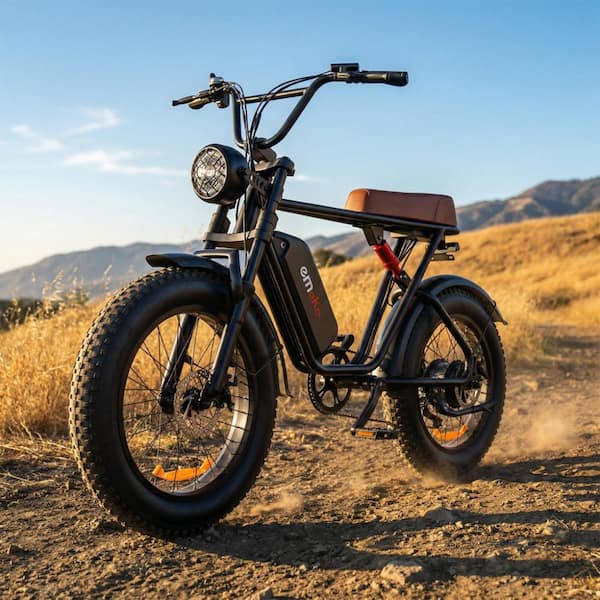 Zeus & Ruta 20 in. 750-Watt 48V 34Ah Shimano 7-Speed Electric