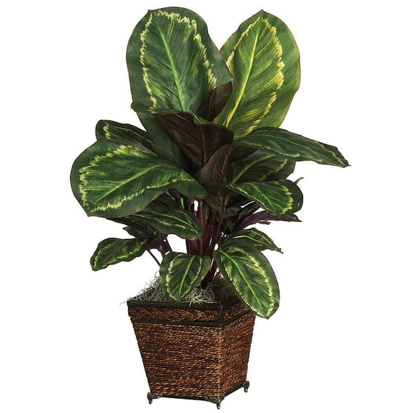 Nearly Natural 26 in. Artificial Maranta Silk Plant with Wicker Basket