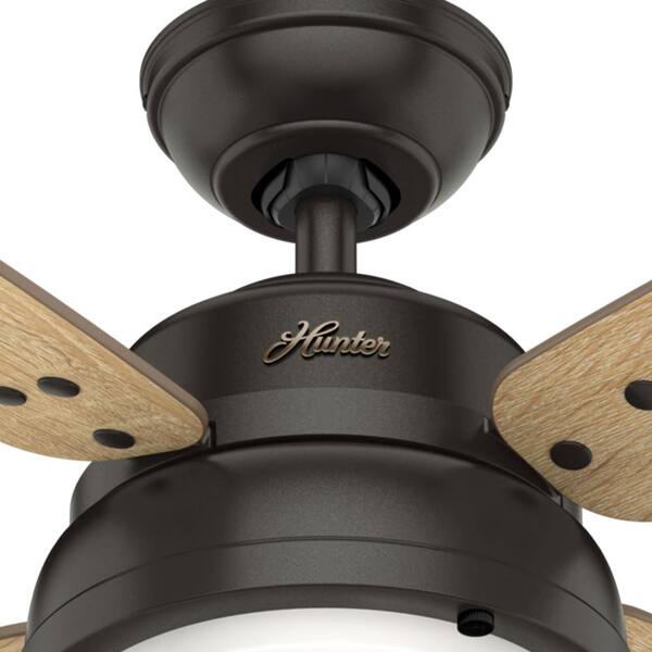 Hunter Wingate 52 in. LED Indoor Noble 