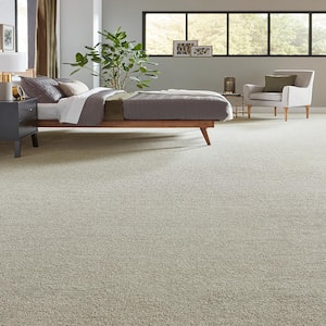 Tailored Trends III Stylish Gray 58 oz. Polyester Textured Installed Carpet