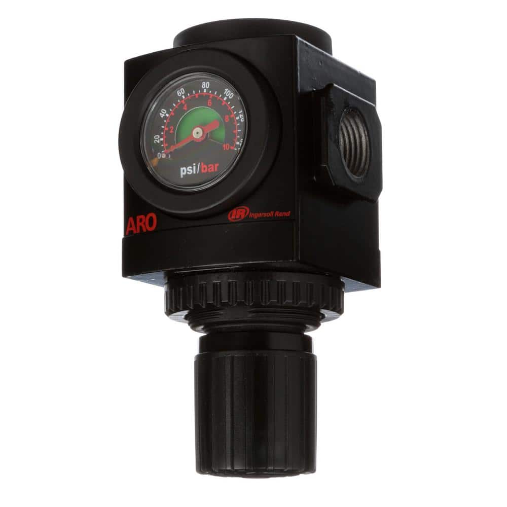 Air Regulator w/Gauge and Panel Nut