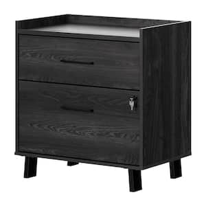 Kozack Gray Oak Decorative Lateral File Cabinet with 2-Drawers
