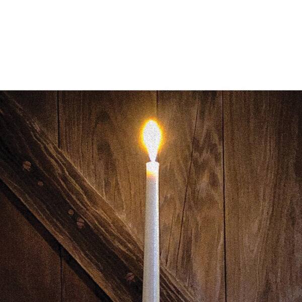 VENICE BEACH Collections Candle Flame by Steven A, Heller 1-Piece Unframed Canvas Drawing Print 14 in. x 14 in.