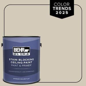 1 gal. Designer Collection #DC-010 Even Better Beige Ceiling Flat Interior Paint & Primer