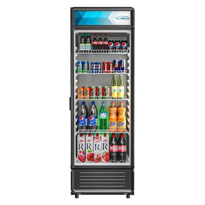 2 Door Glass Refrigerator with Swing Doors- SLIM SIZE 40W – Texas Best  Restaurant Supply