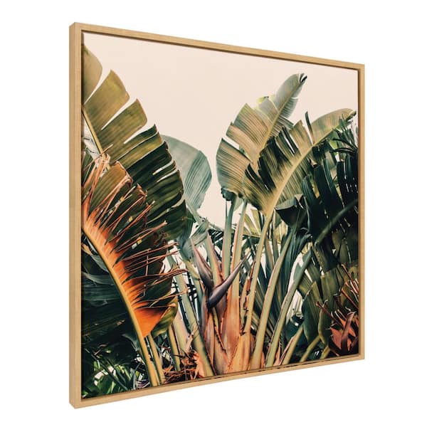 Kate and Laurel Sylvie Hue 2 Framed Canvas by Alicia Bock Set of 1 Nature Art Print 30.00 in. x 30.00 in.