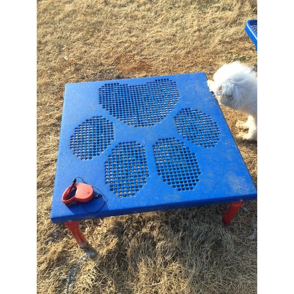 Ultra Play 6-Activity Intermediate Dog Park Agility Course Kit