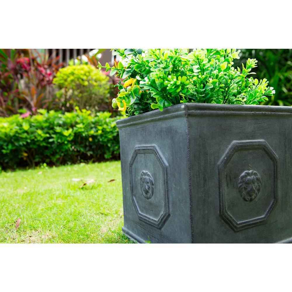 Antique Gray 14" Square Concrete Lion Head Planter