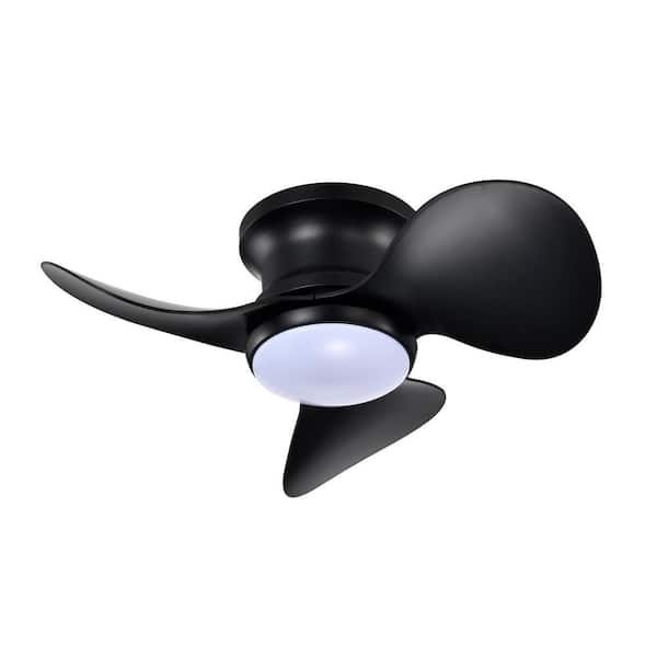 Niamh 24 in. 1-Light Indoor Black Finish Ceiling Fan with Light Kit