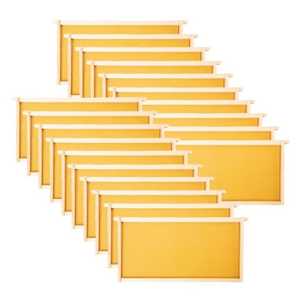 Honey Bee Frames with Beeswax Coated Food Grade Foundation Sheets 20-Pack