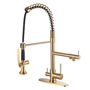 Double Handle Pull-Down Sprayer Kitchen Faucet High Arc with Drinking Water and Deck Plate in Brushed Gold