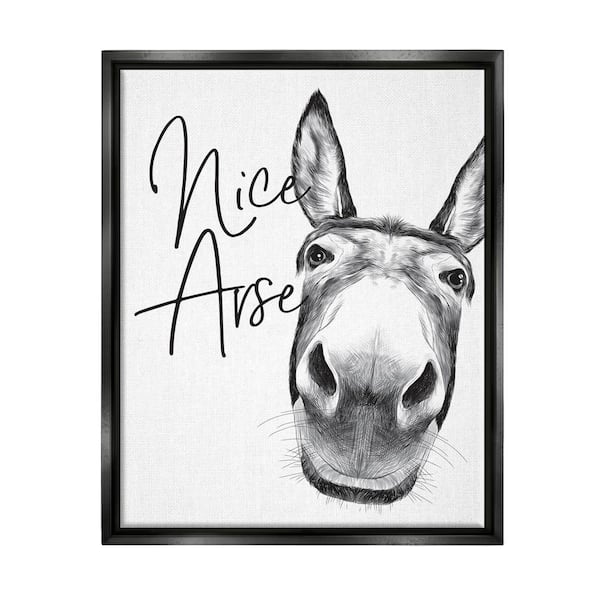 The Stupell Home Decor Collection Animal Humor Nice Arse Donkey Bathroom Phrase by Lettered and Lined Floater Frame Animal Wall Art Print 21 in. x 17 in.