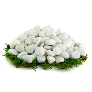 10.8 cu. ft., 1/4 in. 1000 lbs. White Bulk Porcelain Rock Pebbles for Potted Plants, Gardening and Succulents