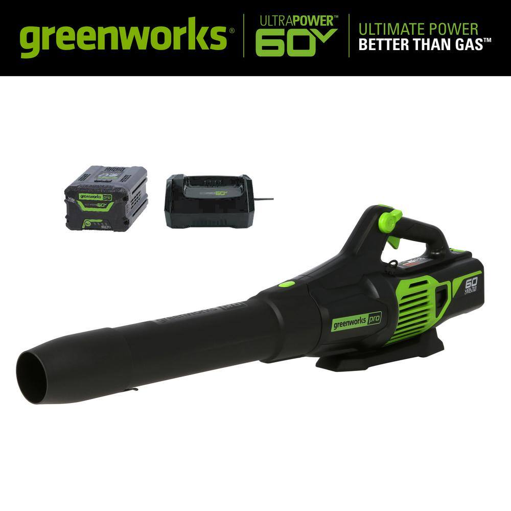 battery handheld leaf blower reviews