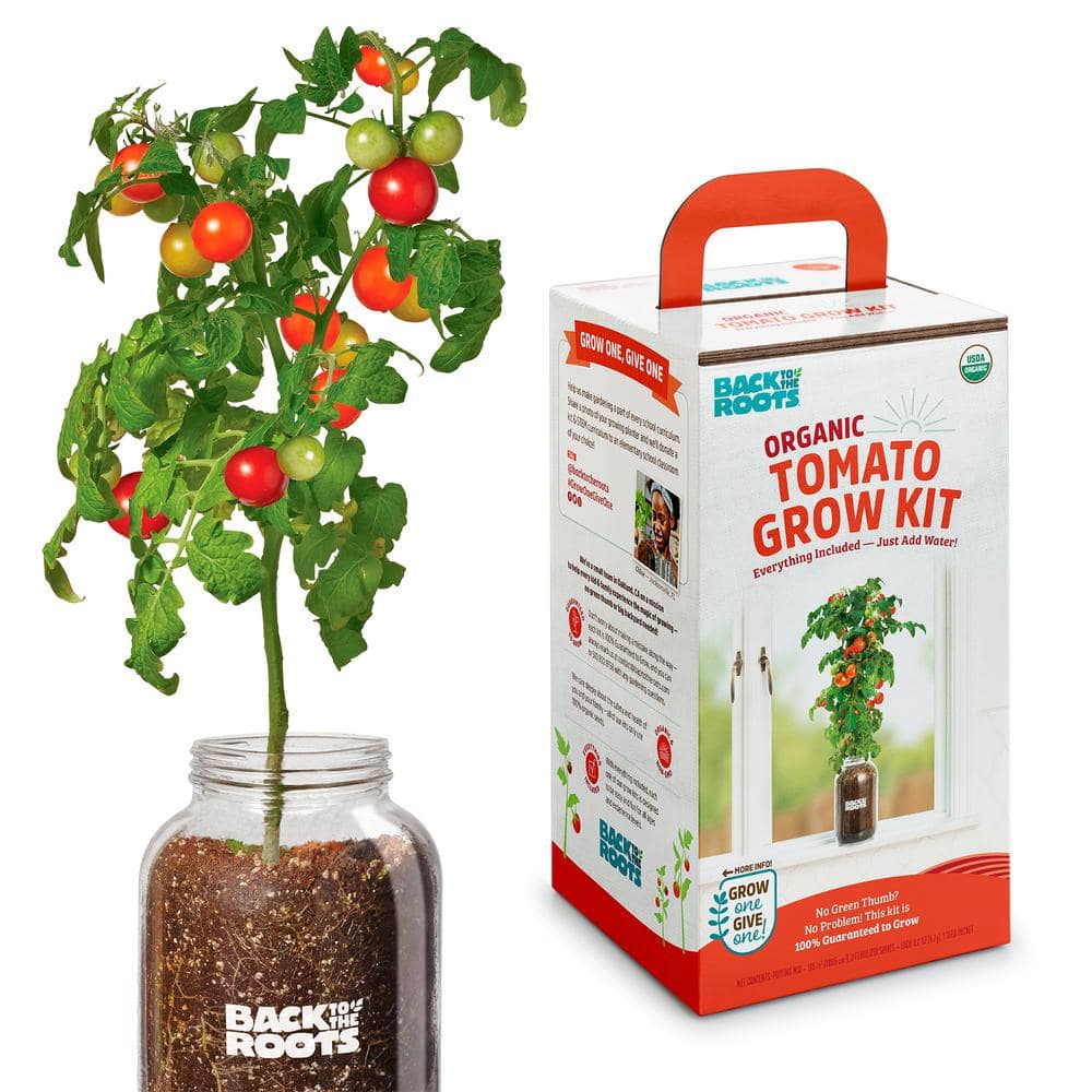 Modern Sprout - Growing Gourmet - Botanical Gift Box Set